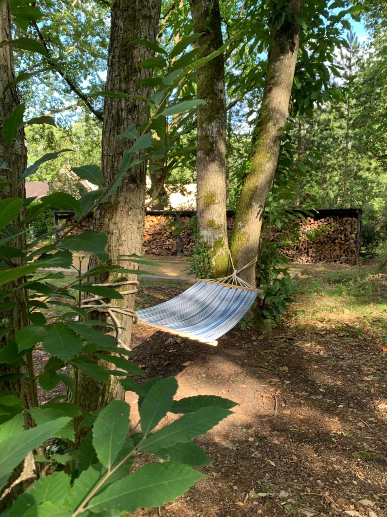 Somptueuse Villa D'Architecte Rochefort-en-Yvelines Eksteriør bilde