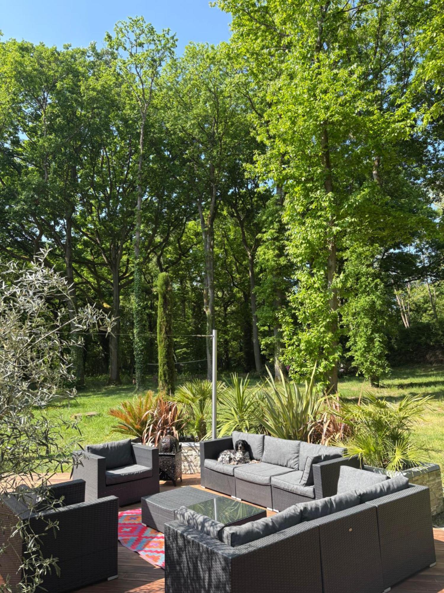 Somptueuse Villa D'Architecte Rochefort-en-Yvelines Eksteriør bilde